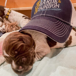 A Cap With Logo on a White Color Bedsheet Image